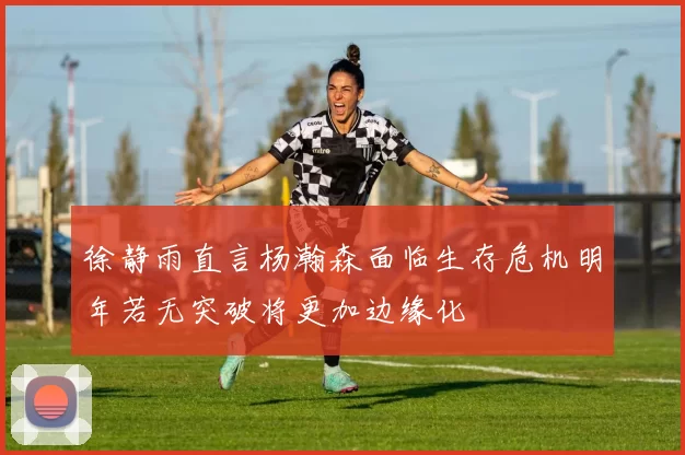 徐静雨直言杨瀚森面临生存危机明年若无突破将更加边缘化